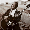 BID on a B.B. King Autographed Guitar!